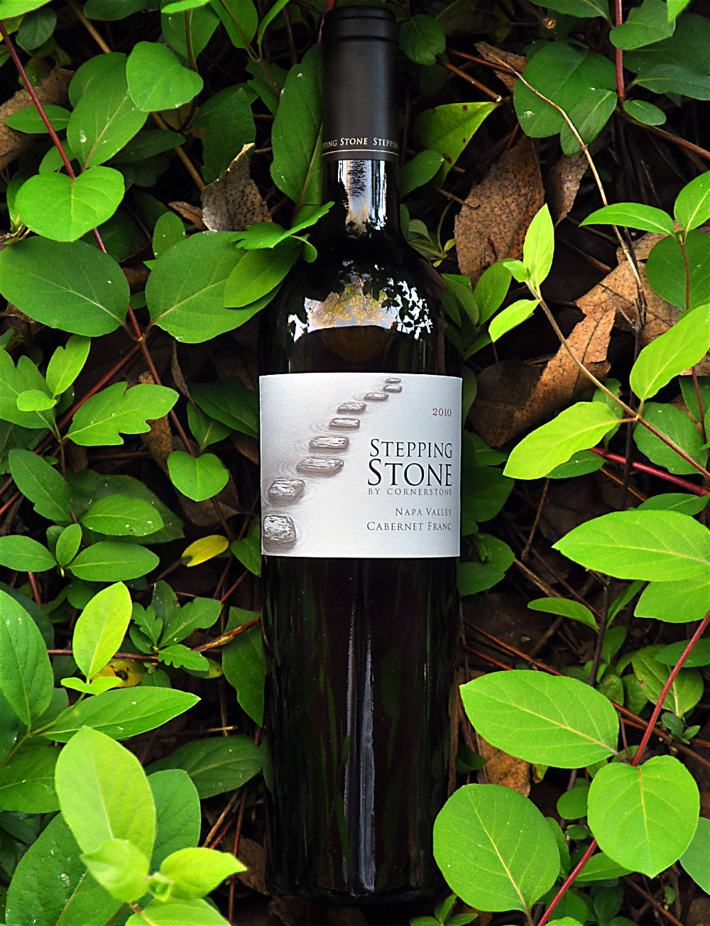 Cornerstone Cellars 2010 Stepping Stone Napa Valley Cabernet Franc 750ml Wine Bottle