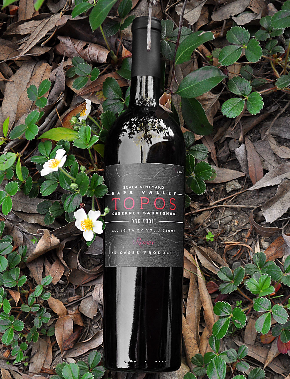 Topos Wines 2009 Reserve Cabernet Sauvignon 750ml Wine Bottle