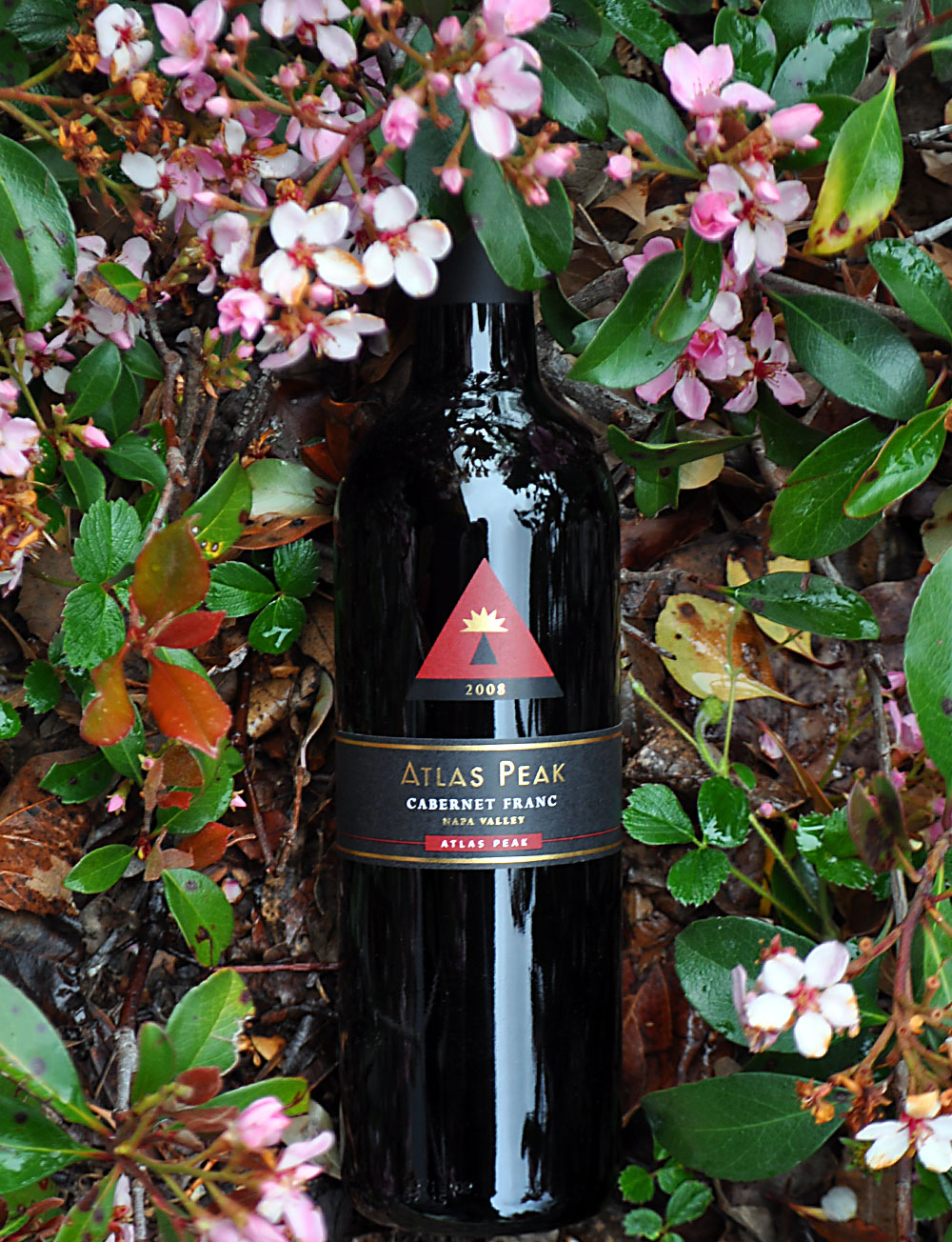 Atlas Peak Vineyards 2008 Atlas Peak Cabernet Franc 750ml Wine Bottle