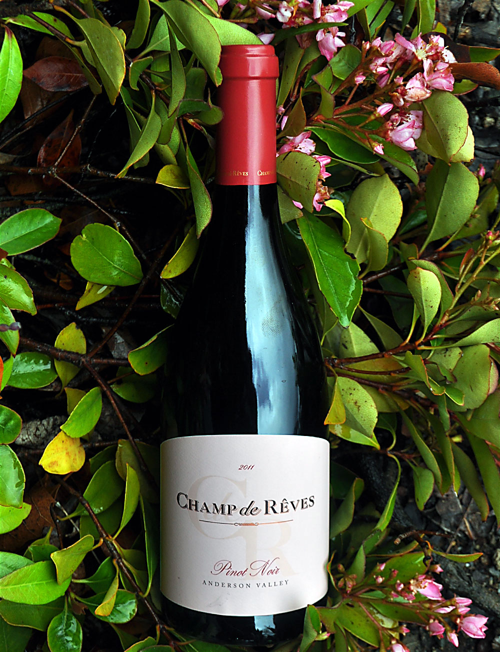 Champ de Reves 2011 Anderson Valley Pinot Noir 750ml Wine Bottle