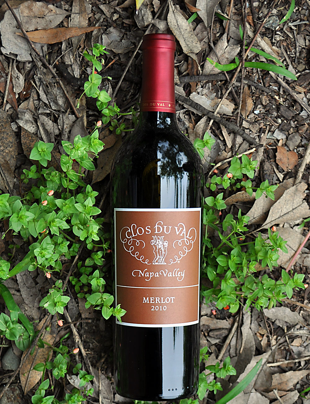Clos du Val 2010 Napa Valley Merlot 750ml Wine Bottle