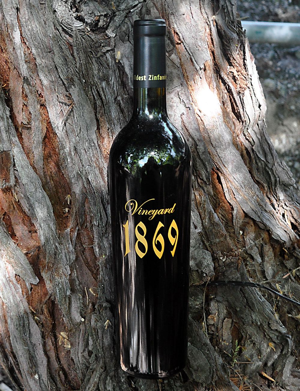 Scott Harvey Wines 2011 Vineyard 1869 Old Vine Zinfandel 750ml Wine Bottle