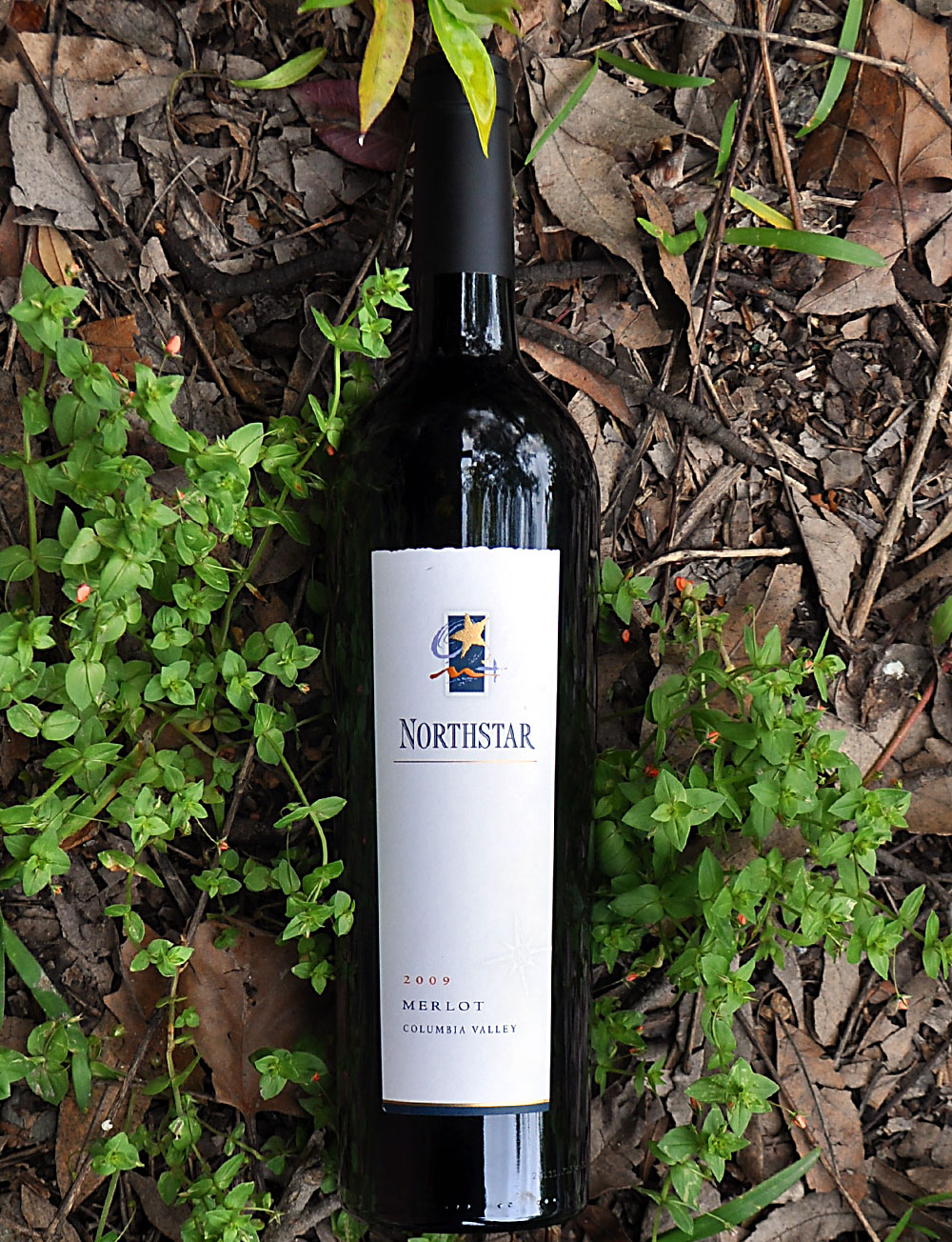 Northstar Winery 2009 Columbia Valley Merlot 750ml Wine Bottle
