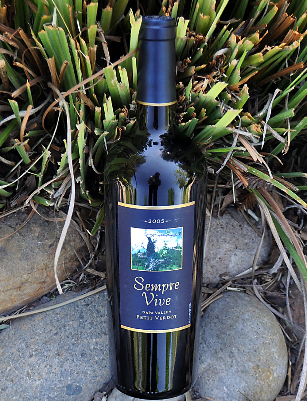 Romeo Vineyards 2005 Sempre Vive Napa Valley Petit Verdot 750ml Wine Bottle