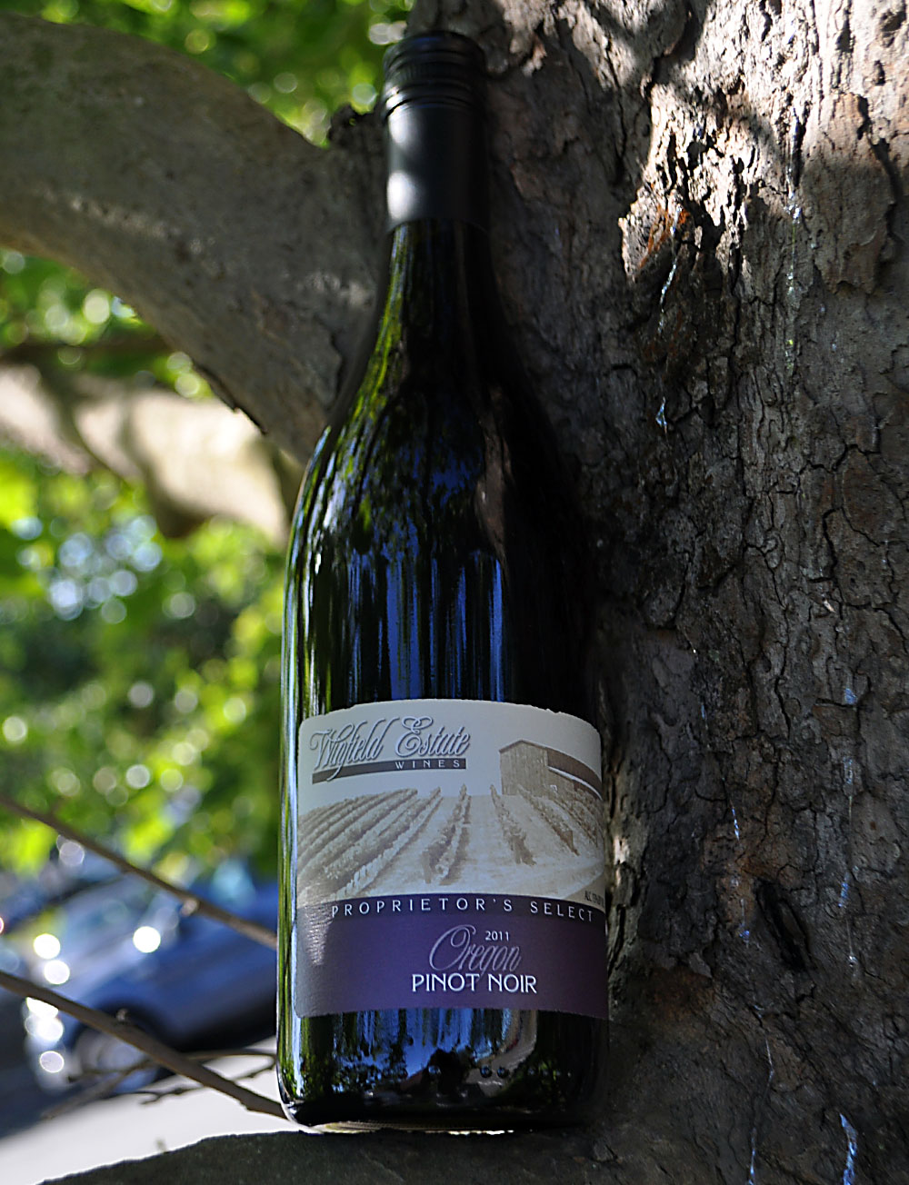 Winfield Estate Wines 2011 Proprietor's Select Pinot Noir 750ml Wine Bottle