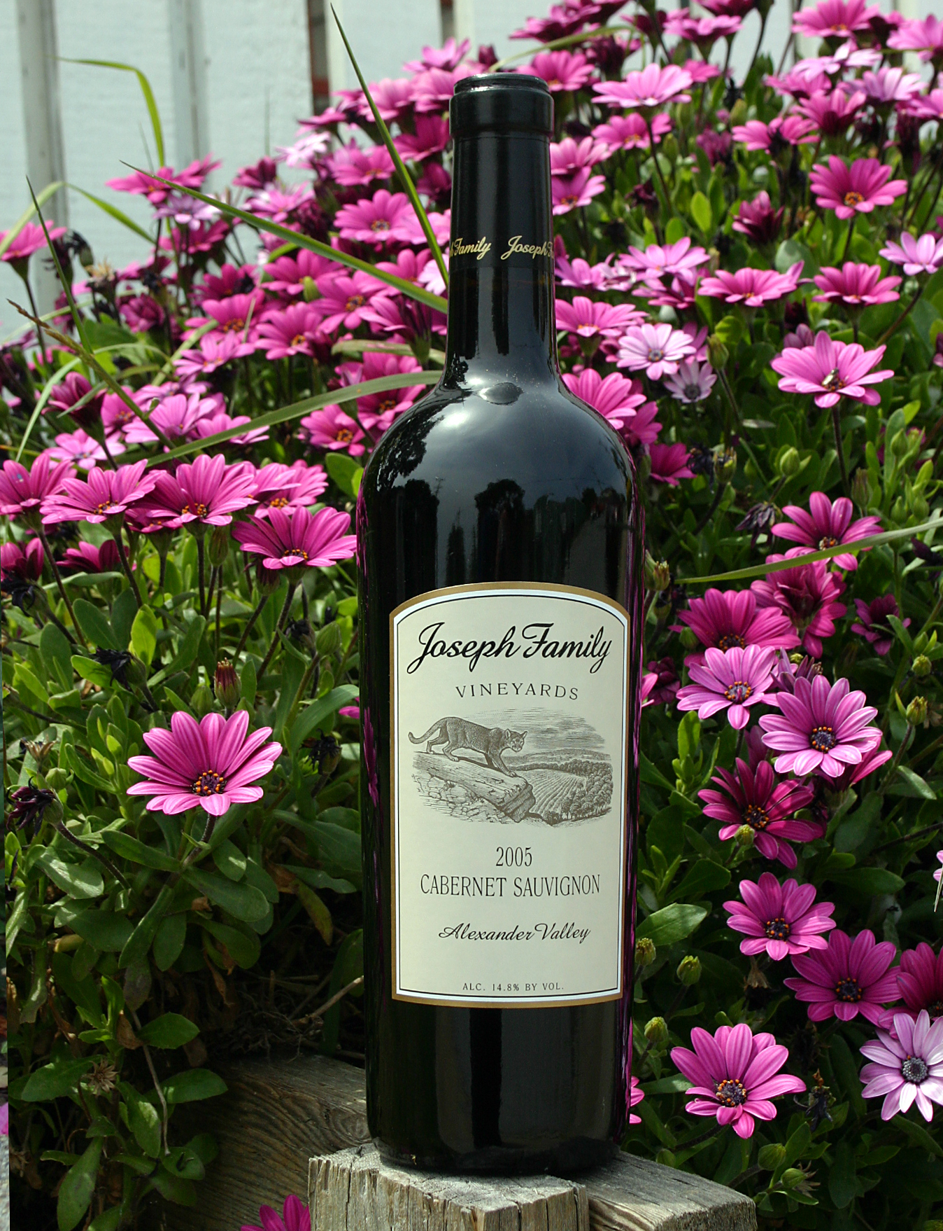 Joseph Family Vineyards 2005 Cabernet Sauvignon 750ml Wine Bottle
