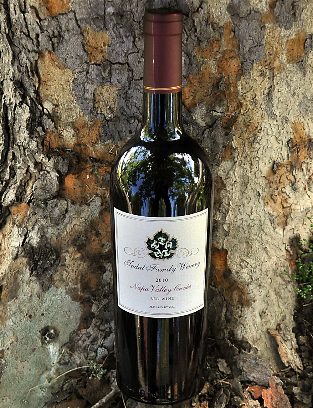 Tudal Family Winery 2010 Napa Valley Cuvée 750ml Wine Bottle