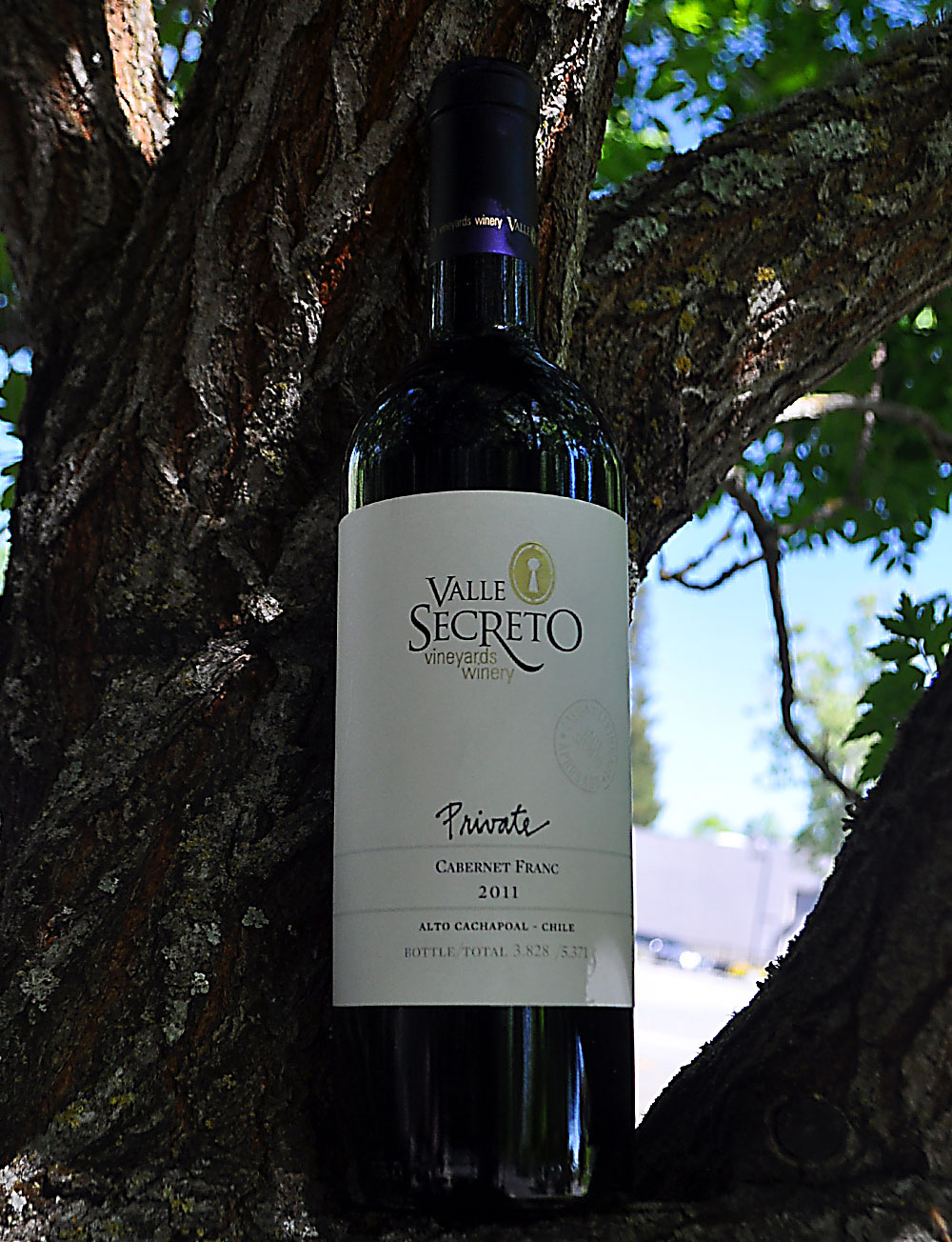 Valle Secreto 2011 Private Edition Cabernet Franc 750ml Wine Bottle