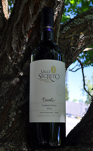 Valle Secreto 2011 Private Edition Cabernet Franc 750ml Wine Bottle
