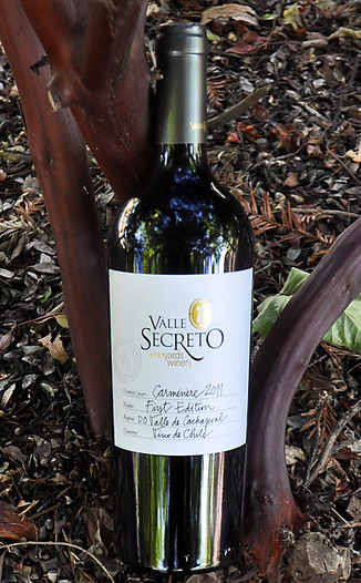 Valle Secreto 2011 First Edition Carmenere 750ml Wine Bottle