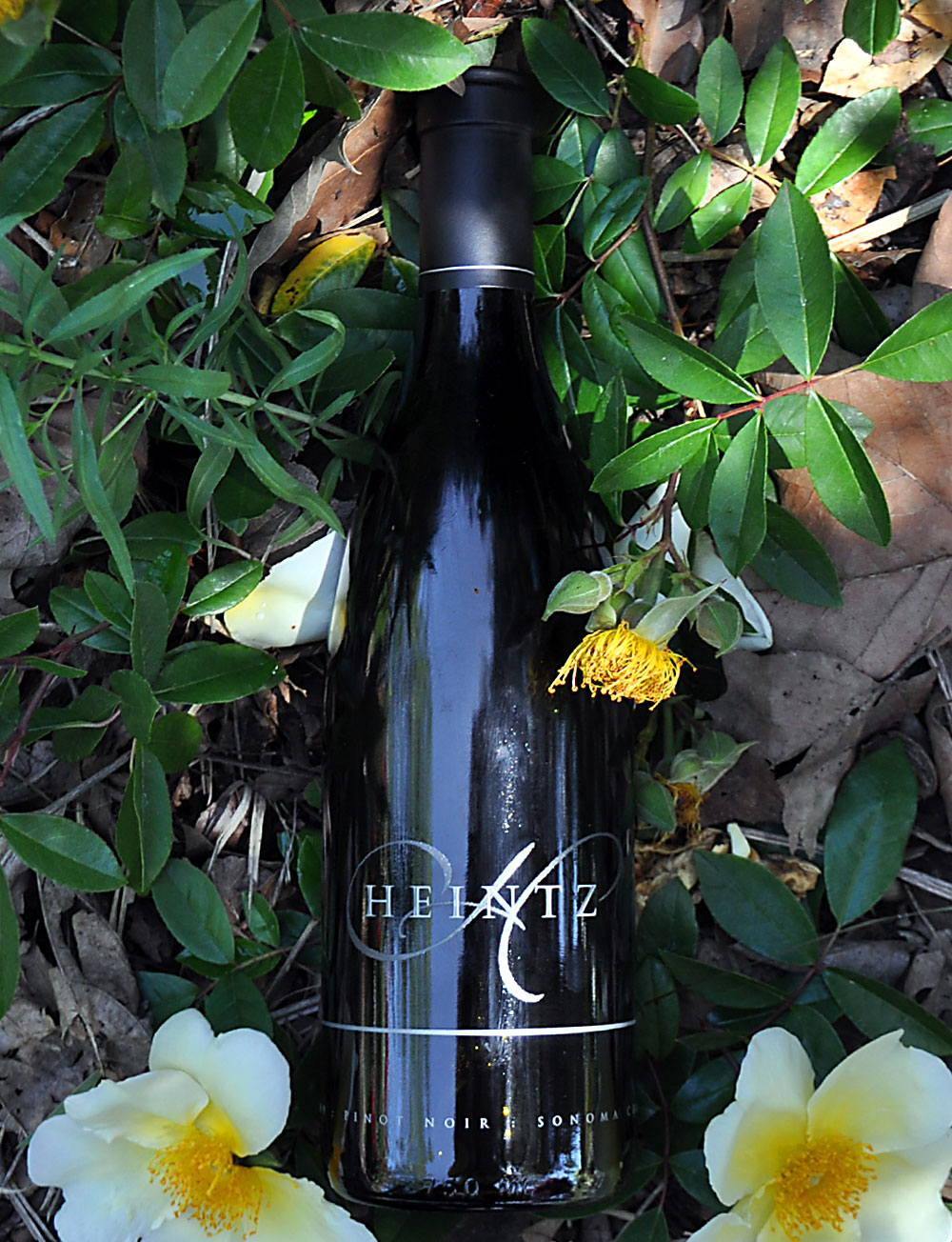 Charles Heintz Vineyards 2009 Sonoma Coast Pinot Noir 750ml Wine Bottle