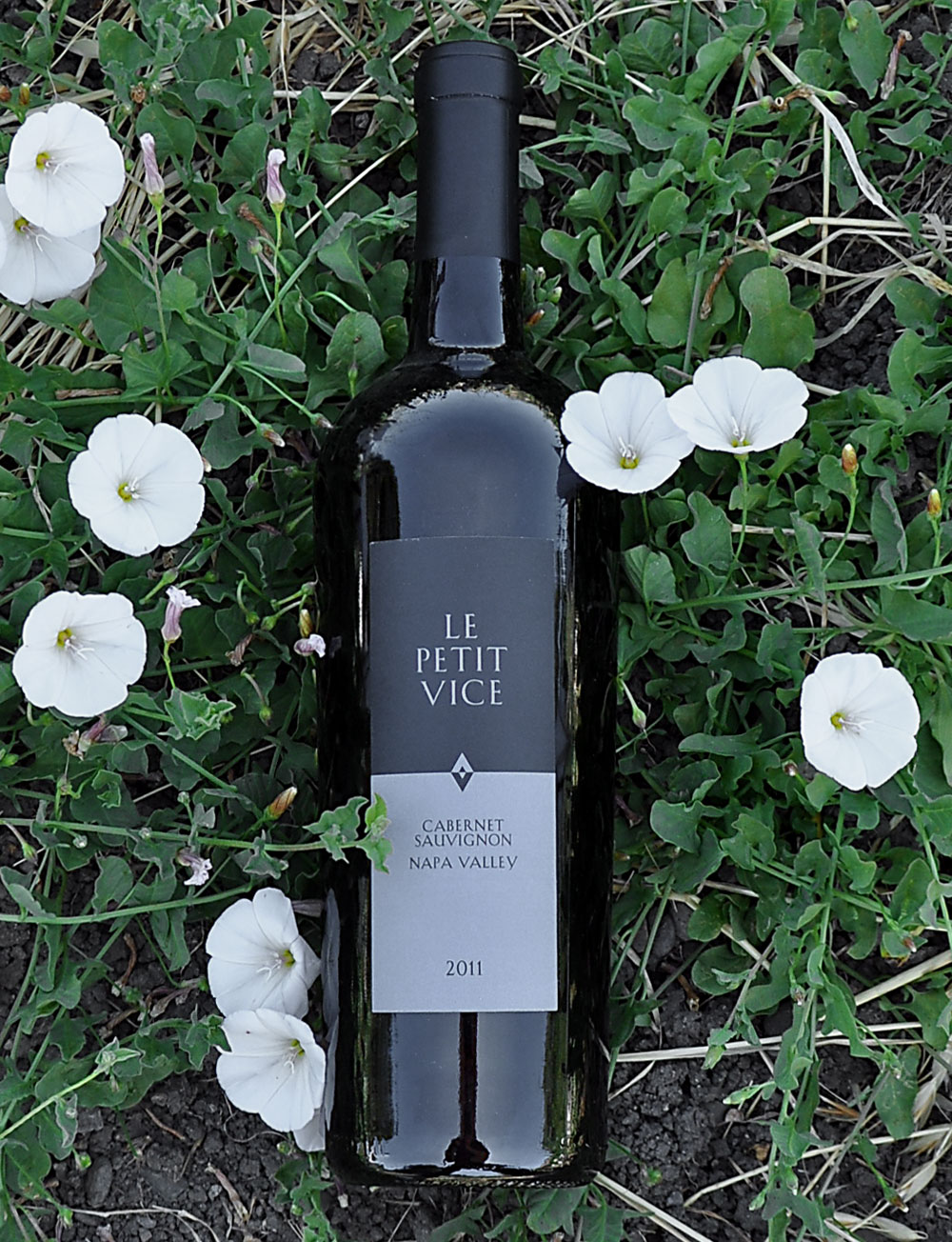 Vice Versa Wines 2011 Le Petit Vice Cabernet Sauvignon 750ml Wine Bottle