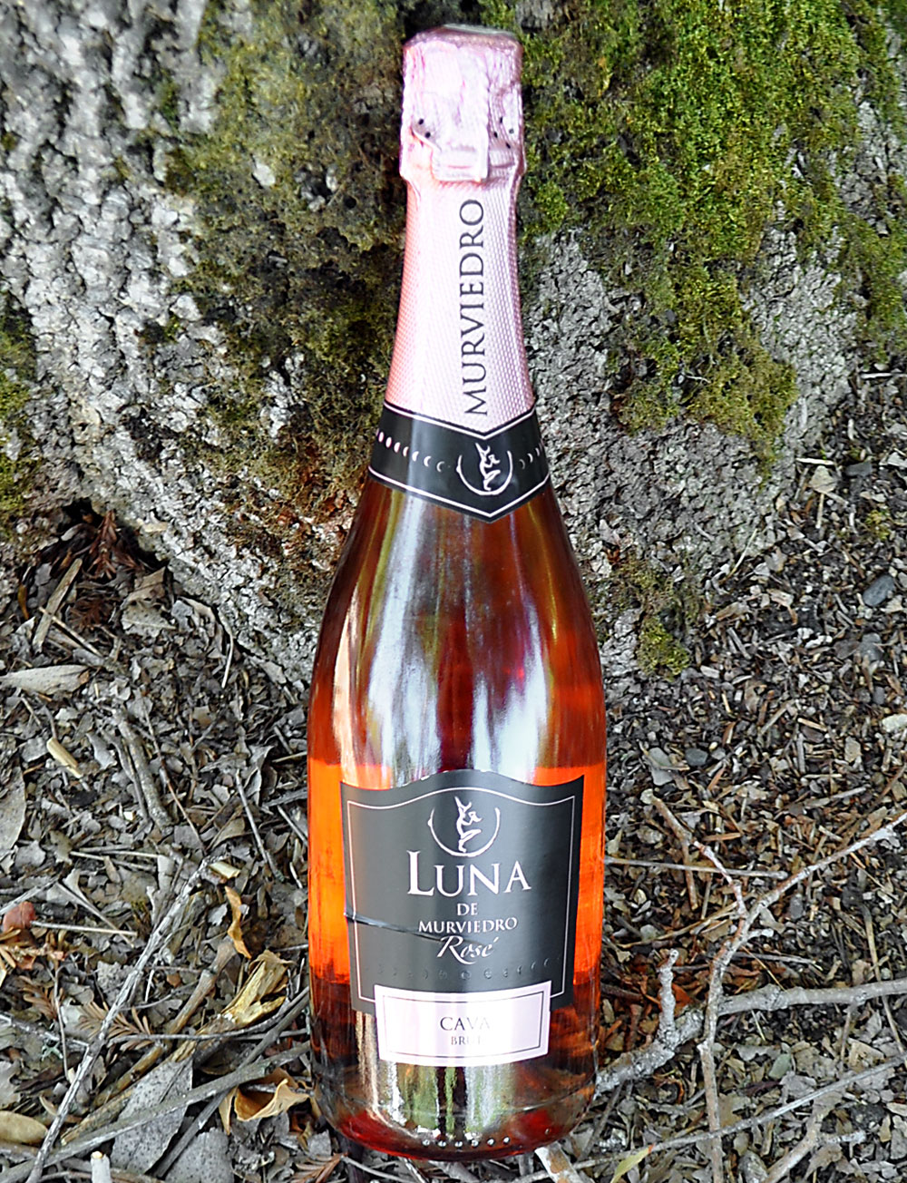 Murviedro NV Luna de Murviedro Rosé 750ml Wine Bottle
