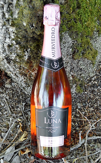 Murviedro NV Luna de Murviedro Rosé 750ml Wine Bottle