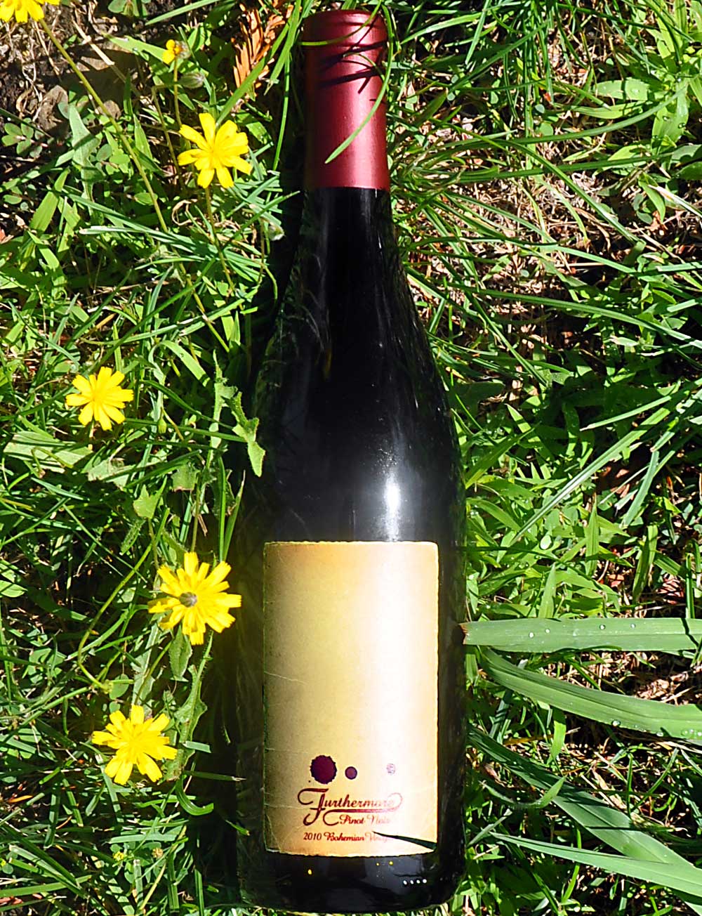 Furthermore 2010 Russian River Valley Pinot Noir 750ml Wine Bottle