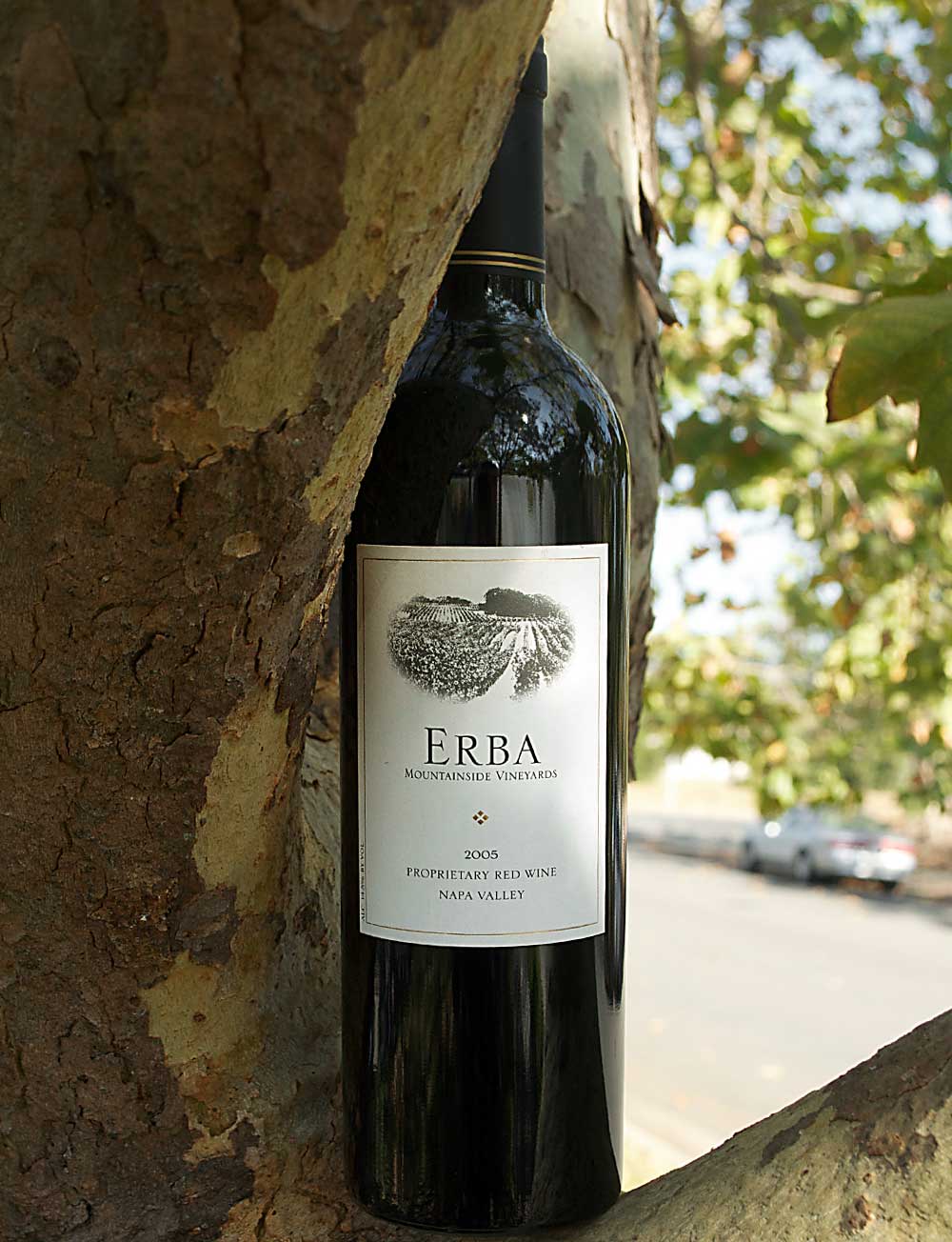 Erba Mountainside Vineyards 2005 Napa Valley Proprietary Red Wine 750ml Wine Bottle