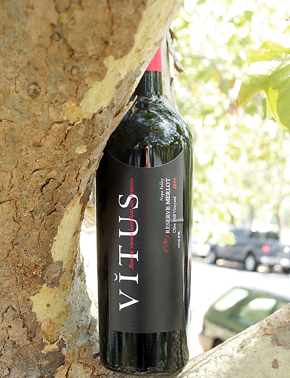 Vitus Wines 2010 Napa Valley Reserve Merlot 750ml Wine Bottle