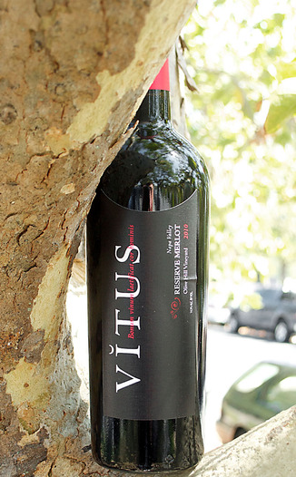 Vitus Wines 2010 Napa Valley Reserve Merlot 750ml Wine Bottle