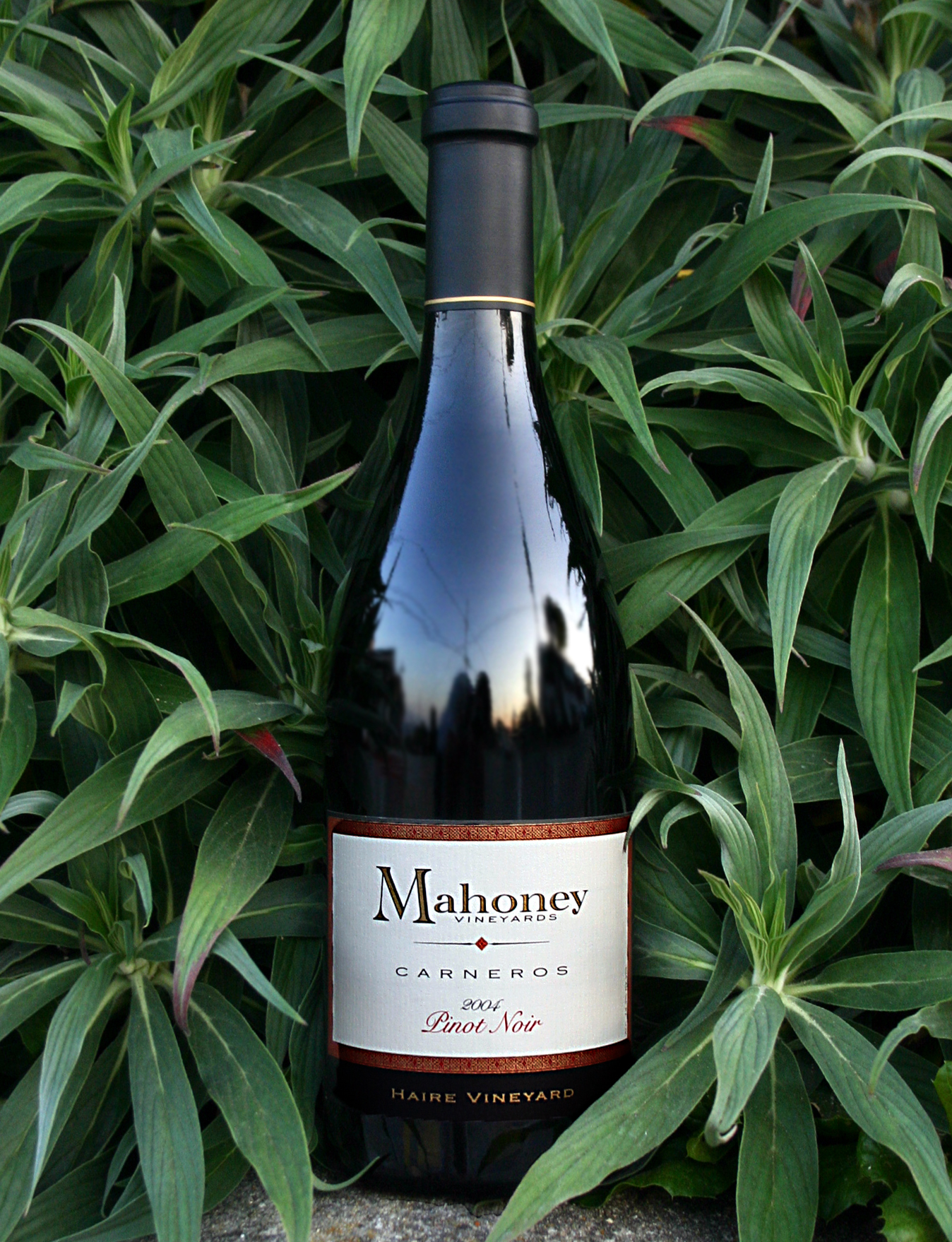 Mahoney Vineyards 2004 Carneros Pinot Noir 750ml Wine Bottle