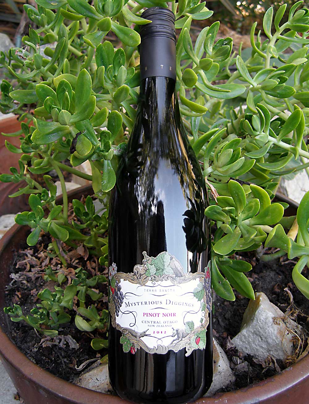 Terra Sancta Wines 2012 Mysterious Diggings Central Otago Pinot Noir 750ml Wine Bottle