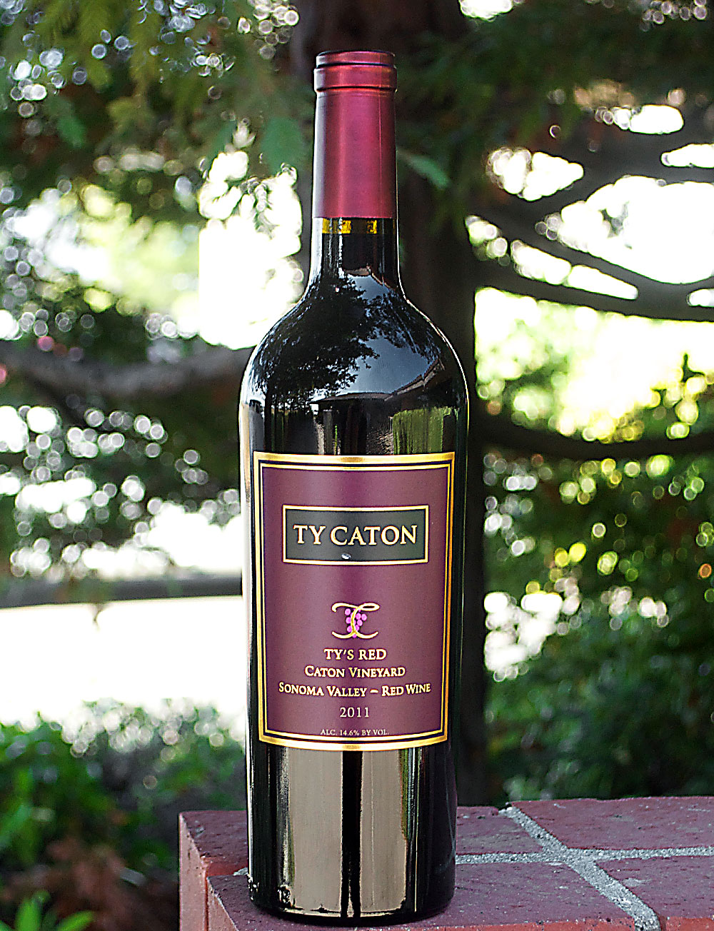 Ty Caton 2011 Sonoma Valley Ty's Red Wine 750ml Wine Bottle