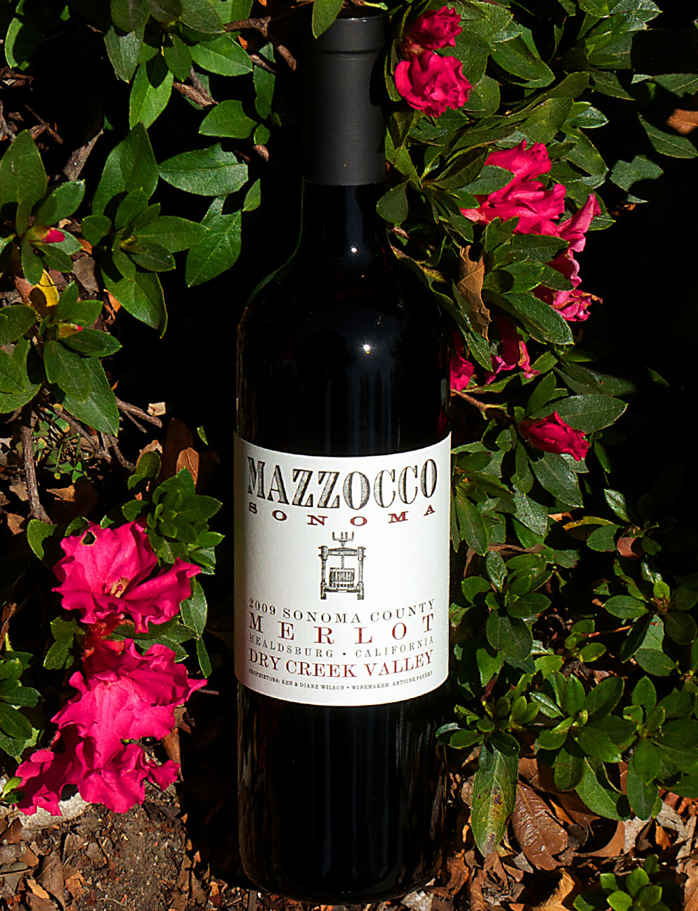 Mazzocco 2009 Dry Creek Valley Merlot 750ml Wine Bottle