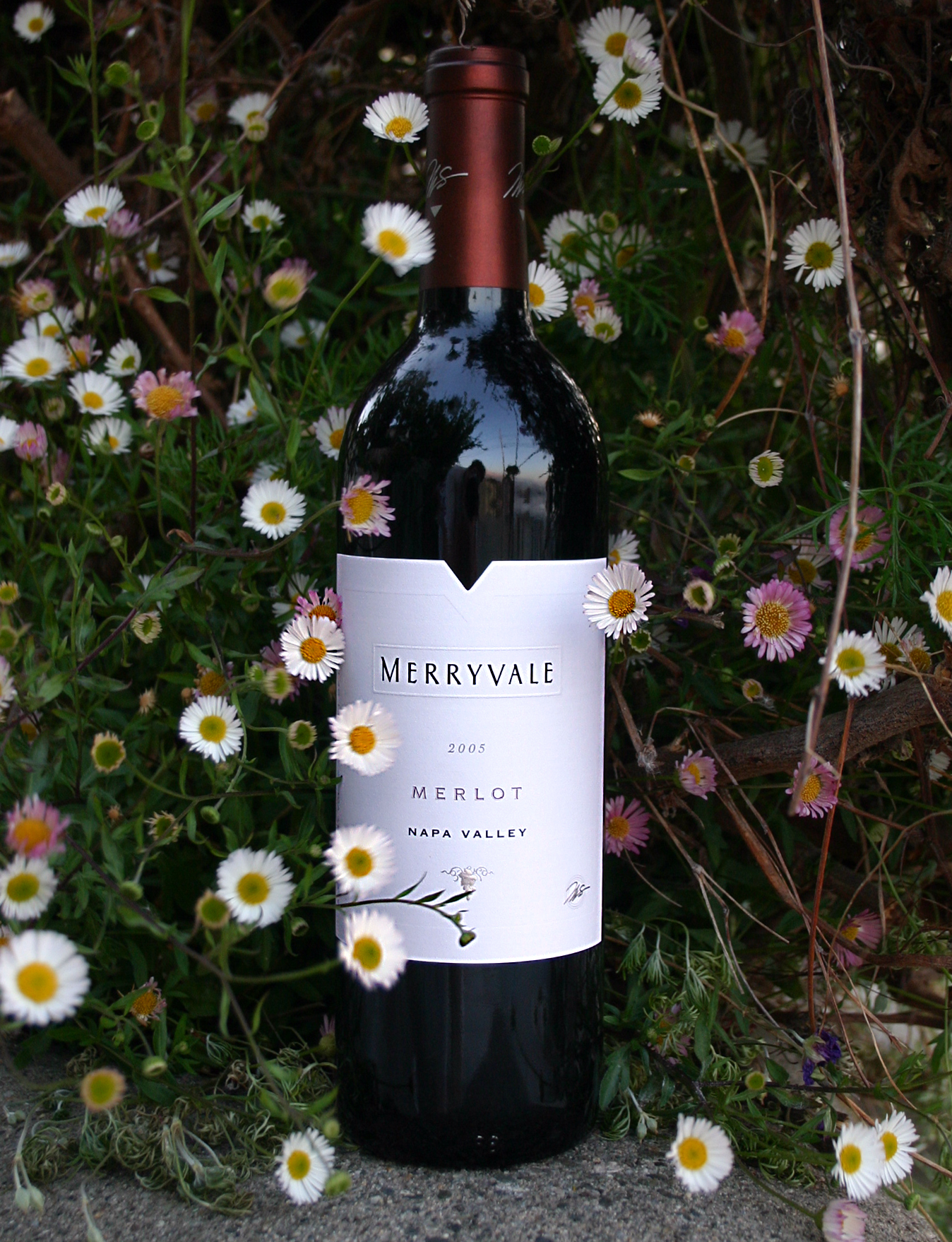 Merryvale Vineyards 2005 Merlot, Napa Valley 750ml Wine Bottle