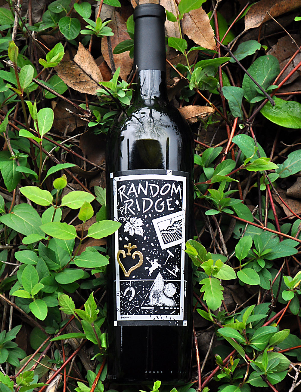 Random Ridge 2010 Mt. Veeder District Reserve Cabernets 750ml Wine Bottle