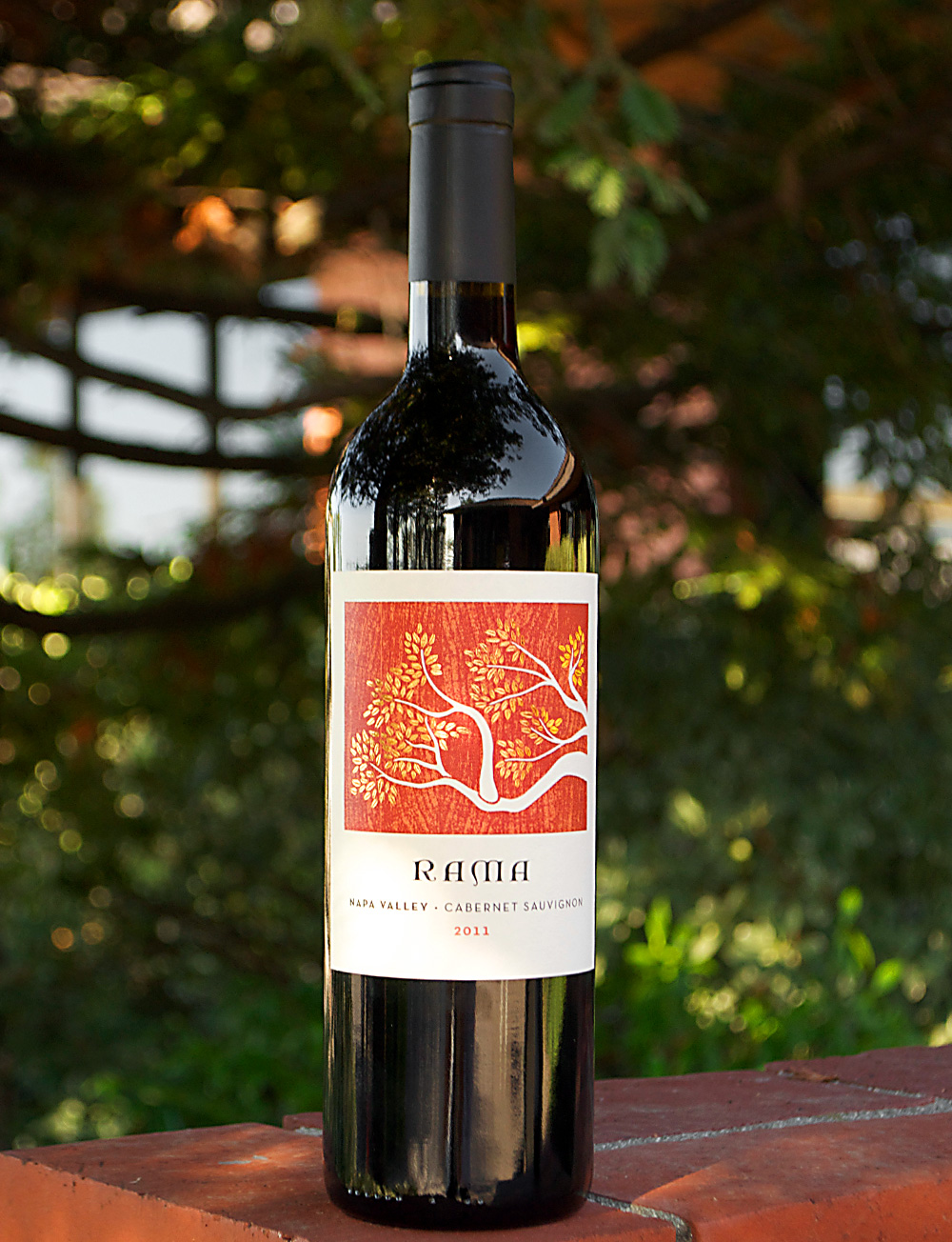 Mario Bazan Cellars 2011 RAMA Napa Valley Cabernet Sauvignon 750ml Wine Bottle