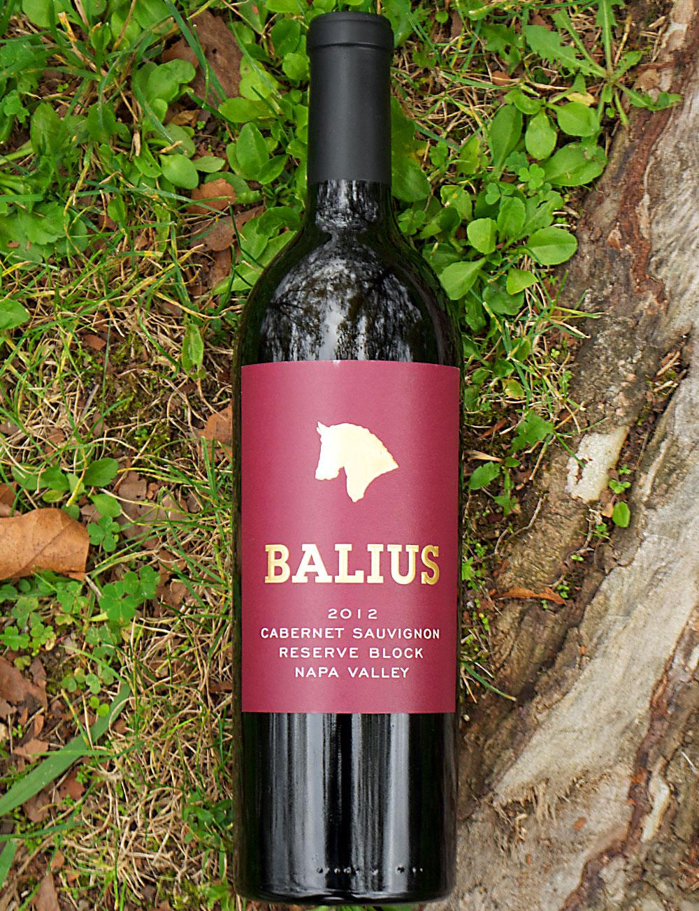 Balius Wines 2012 Reserve Block Napa Valley Cabernet Sauvignon 750ml Wine Bottle