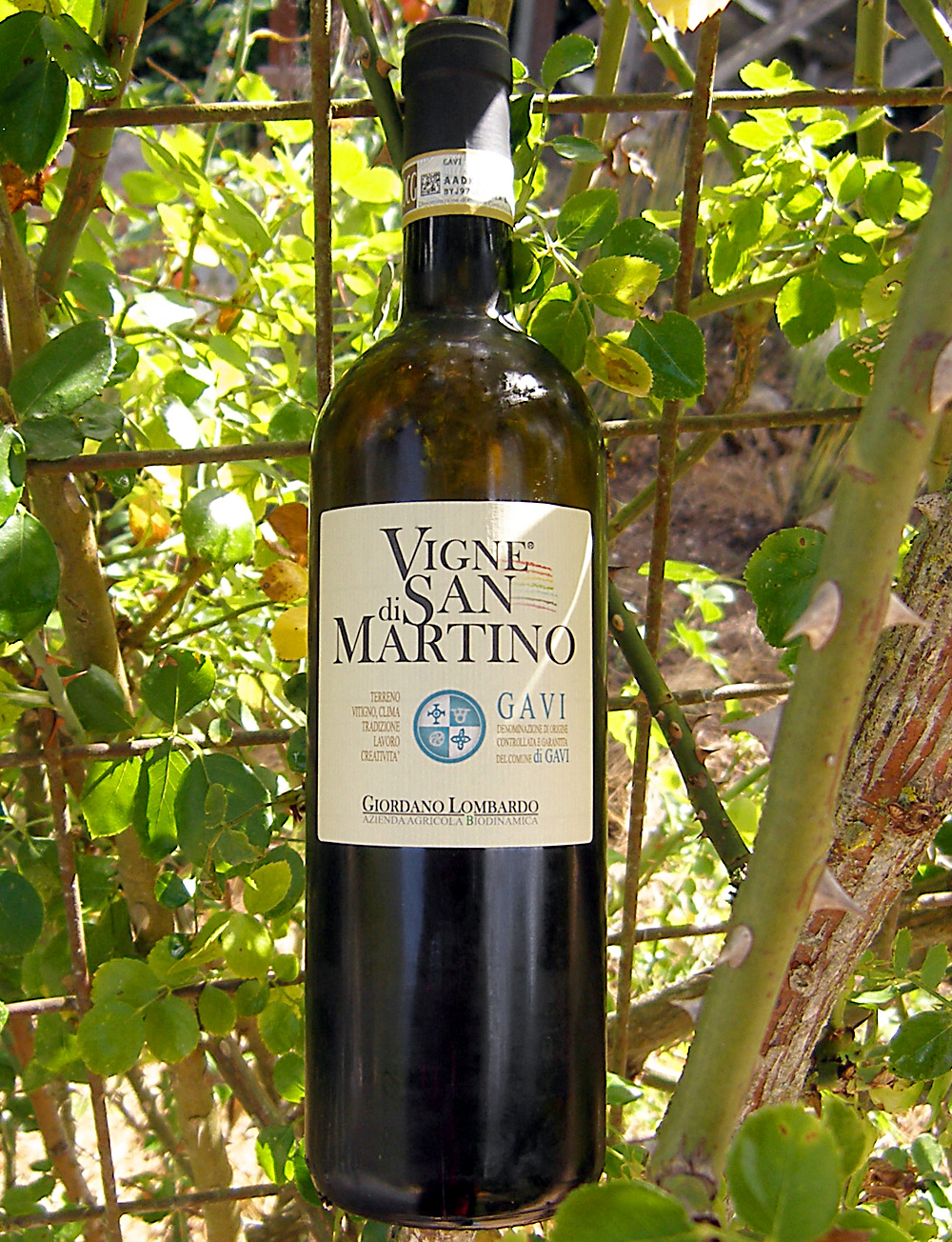 Giordano Lombardo 2011 Vigne di San Martino Gavi 750ml Wine Bottle