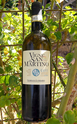 Giordano Lombardo 2011 Vigne di San Martino Gavi 750ml Wine Bottle