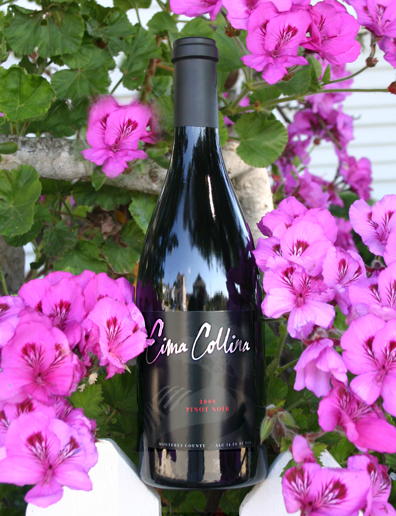 Cima Collina 2006 Pinot Noir - Monterey 750ml Wine Bottle