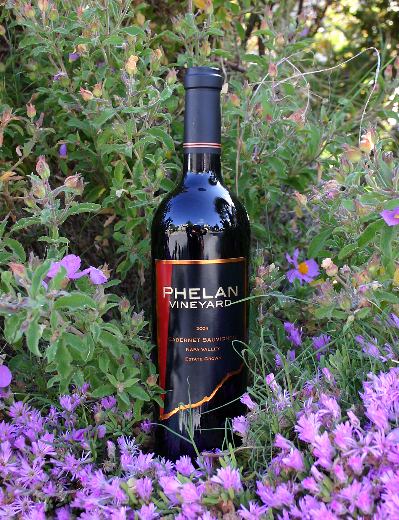 Phelan Vineyard 2004 Cabernet Sauvignon 750ml Wine Bottle