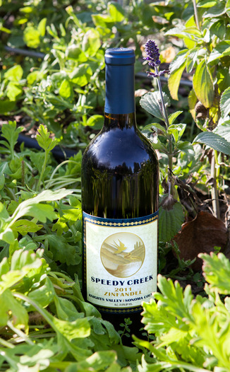 Speedy Creek 2011 Knights Valley Zinfandel 750ml Wine Bottle