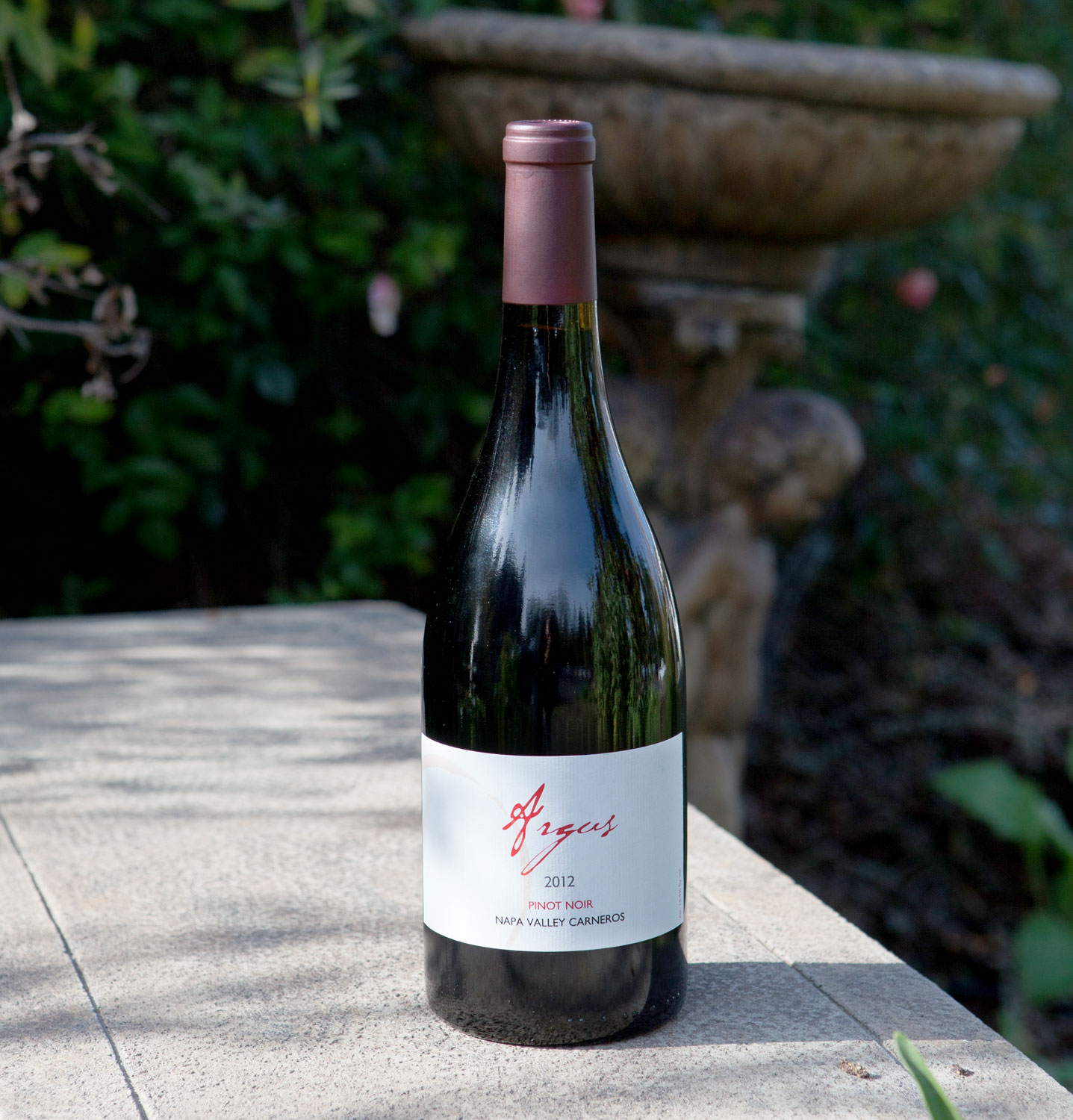 Dearden Wines 2012 Argus Pinot Noir Napa Valley Carneros 750ml Wine Bottle