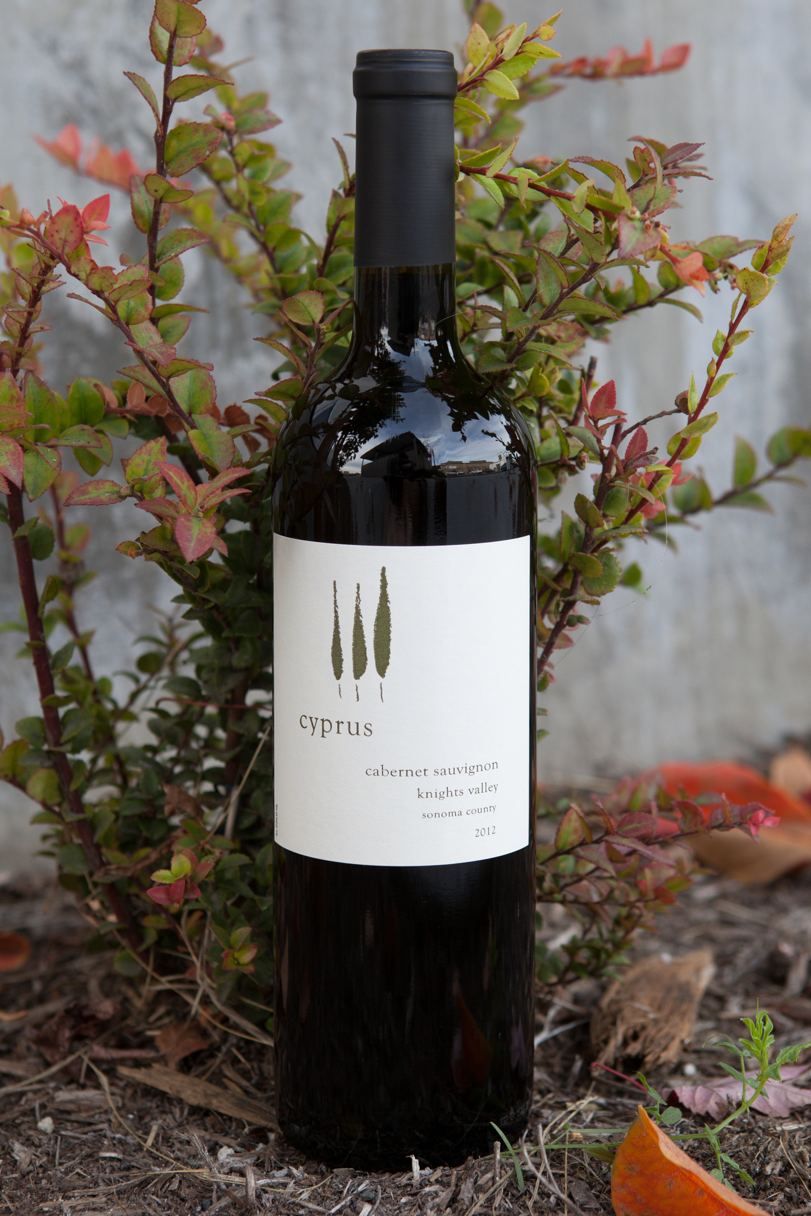 Brack Mountain 2012 Cyprus Knights Valley Cabernet Sauvignon 750ml Wine Bottle