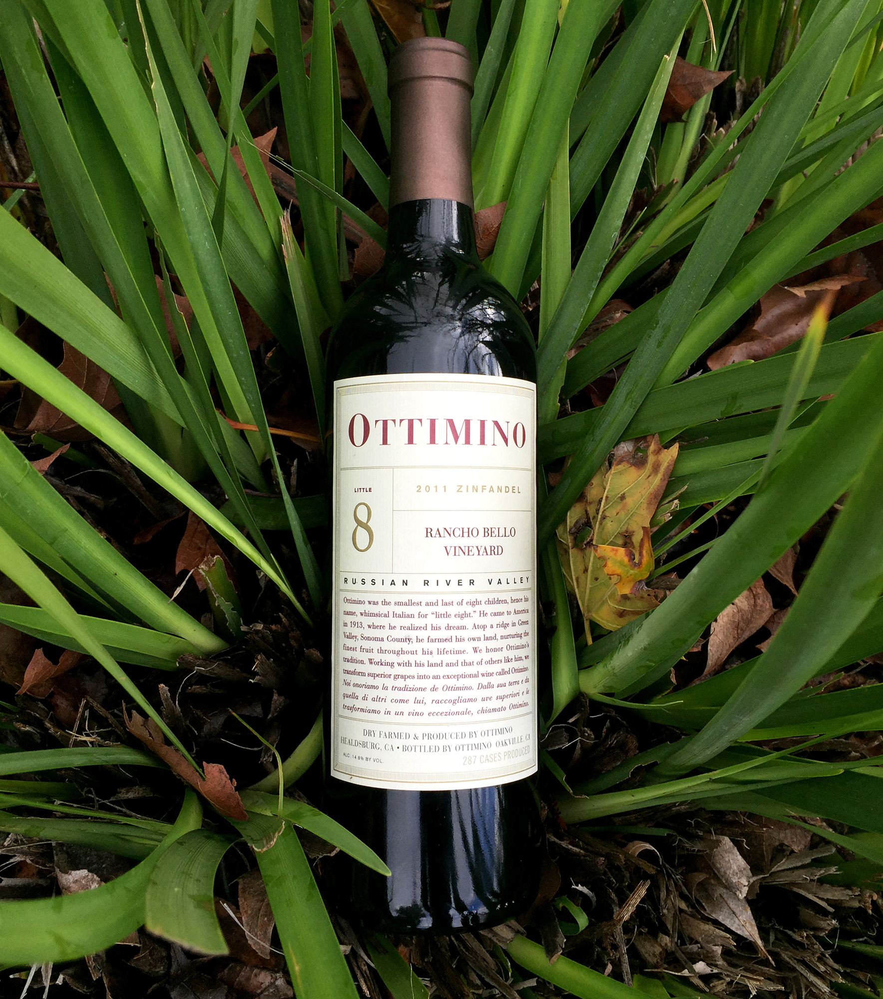 Ottimino 2011 Rancho Bello Vineyard Zinfandel 750ml Wine Bottle