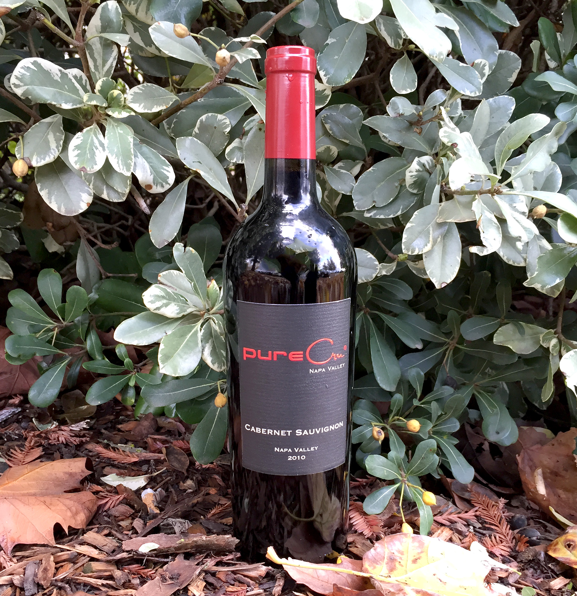 pureCru Wines 2010 Napa Valley Cabernet Sauvignon 750ml Wine Bottle