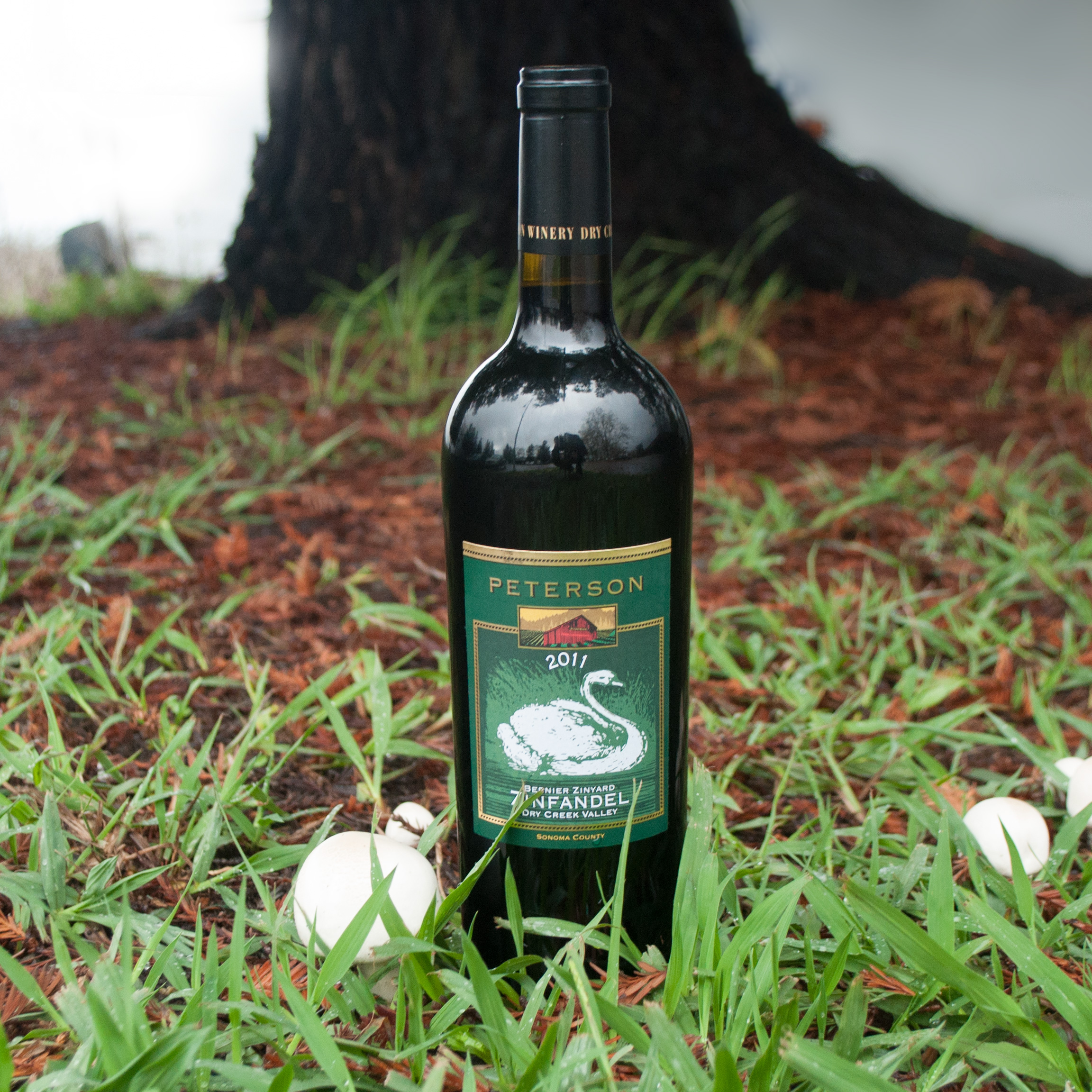 Peterson 2011 Bernier Zinyard Zinfandel 750ml Wine Bottle