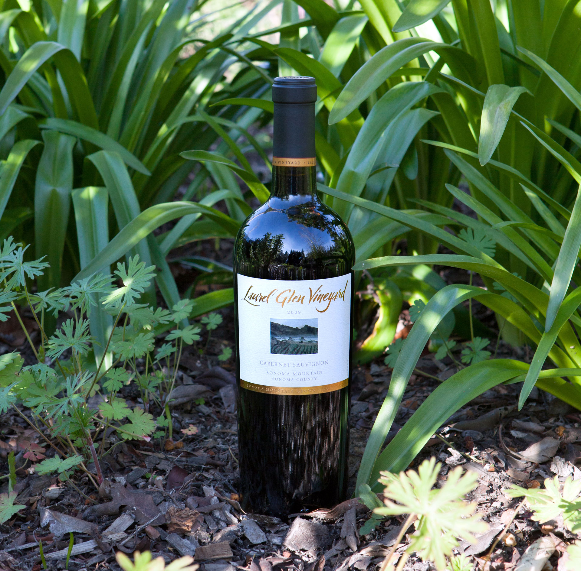 Laurel Glen 2009 Sonoma Mountain Cabernet (Signed bottles) 750ml Wine Bottle