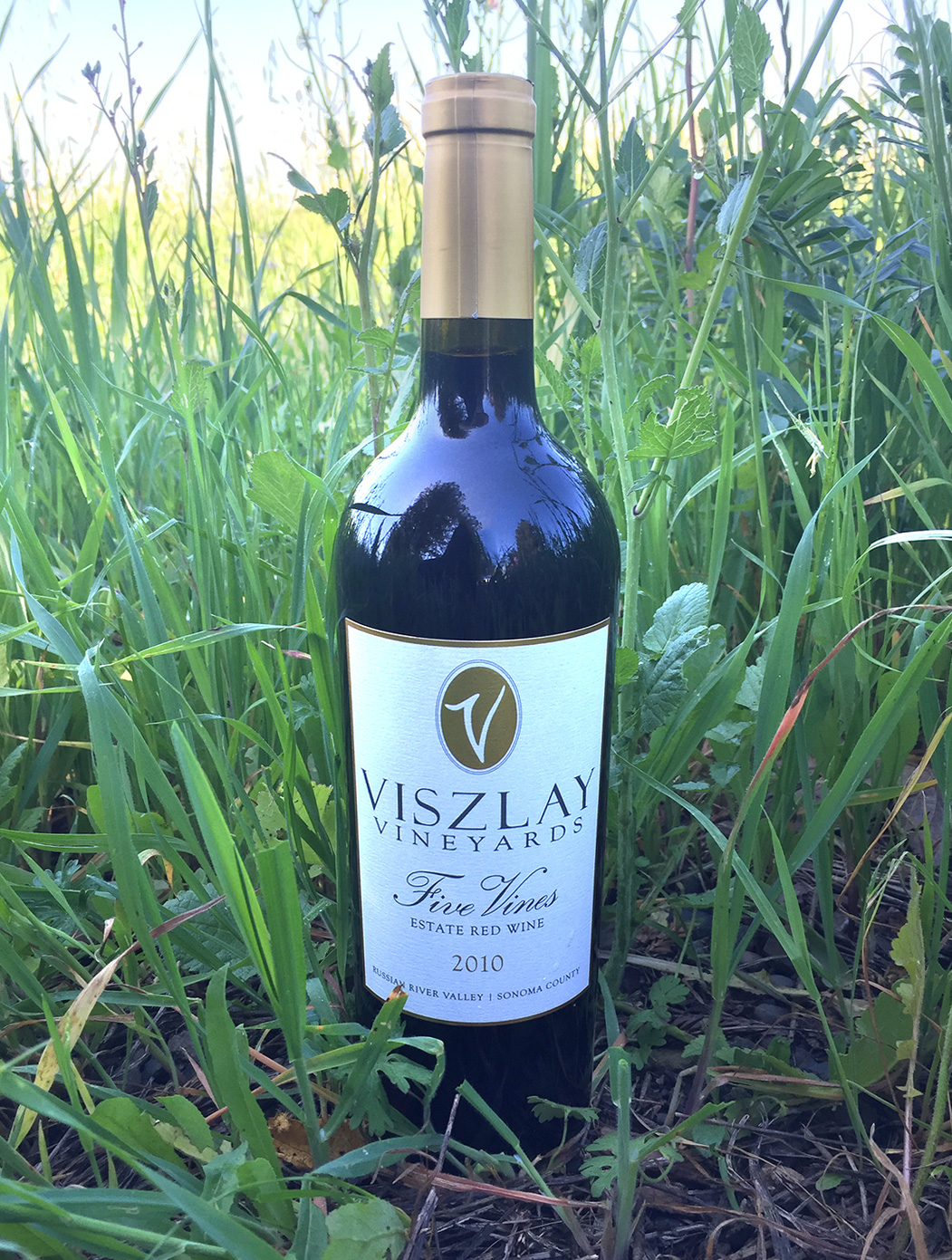 Viszlay Vineyards 2010 Five Vines 750ml Wine Bottle