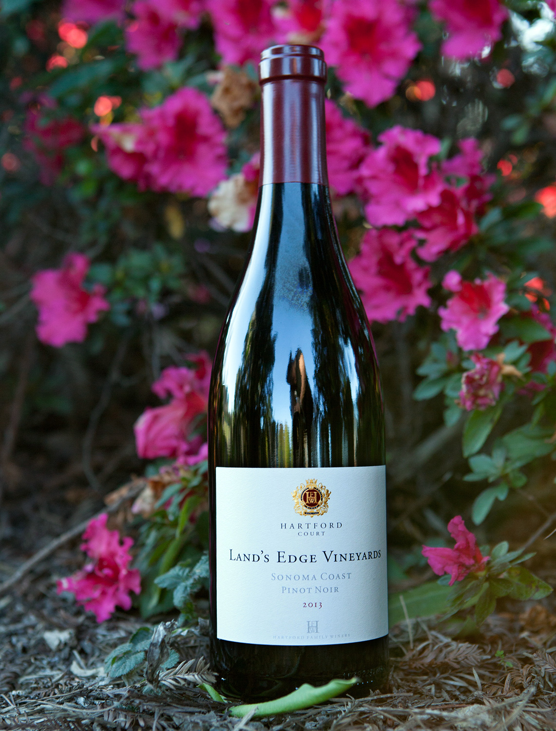 Hartford Family Winery 2013 Pinot Noir Land's Edge Vineyards 750ml Wine Bottle