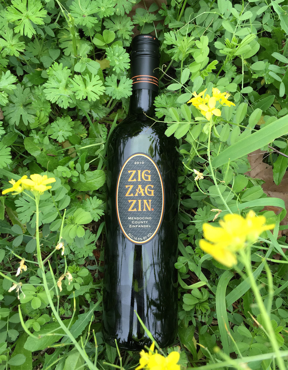 Mendocino Wine Company 2010 Zig Zag Zinfandel 750ml Wine Bottle