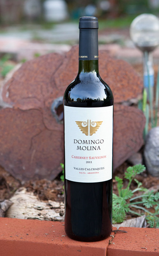 Domingo Molina 2011 Cabernet Sauvignon Valle de Cafayate 750ml Wine Bottle