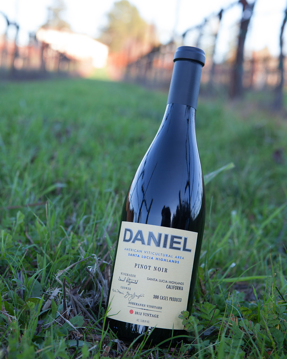 Daniel 2012 Pinot Noir Soberanes Santa Lucia Highlands 750ml Wine Bottle