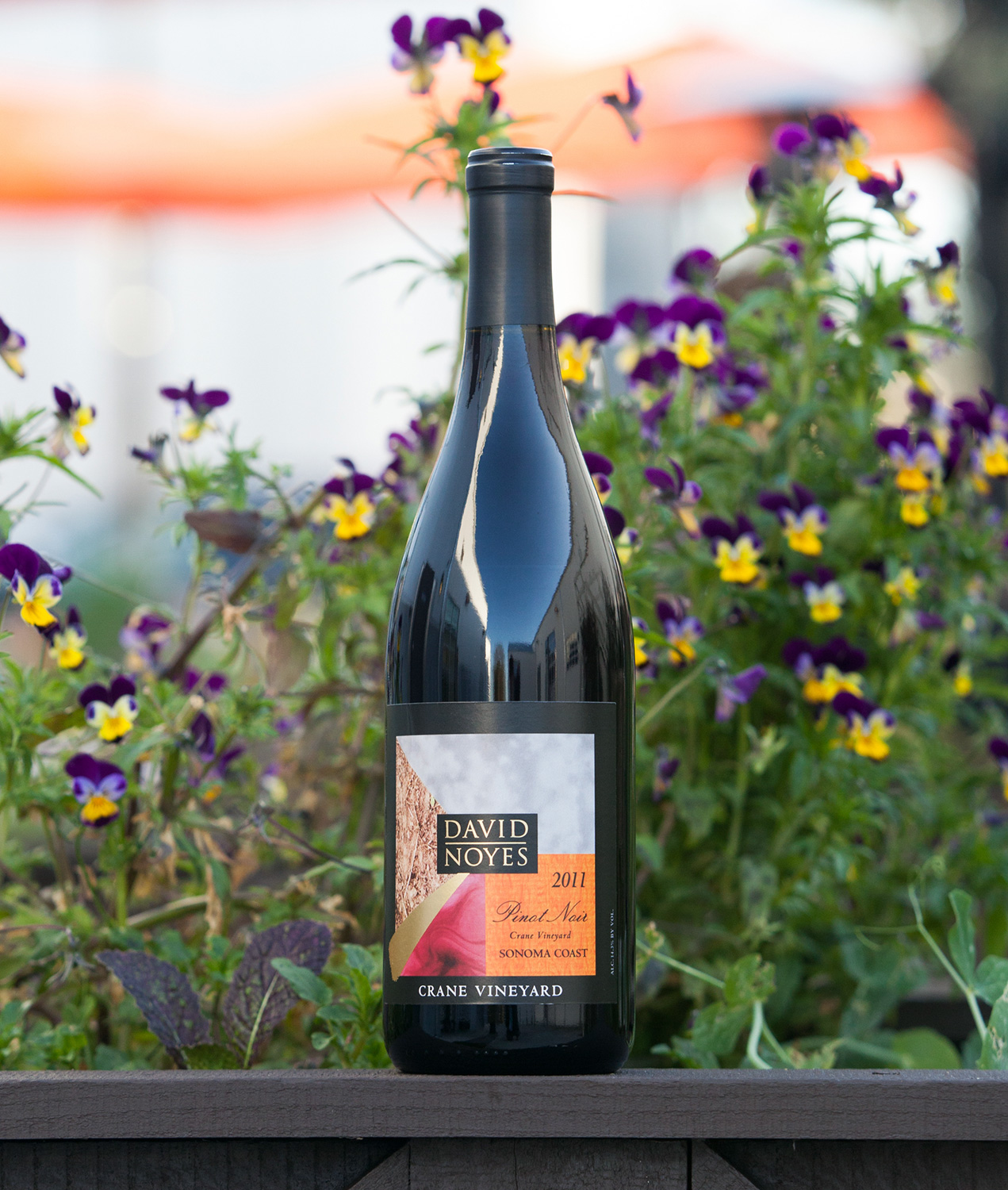 David Noyes Wines 2011 Pinot Noir Sonoma Coast 750ml Wine Bottle