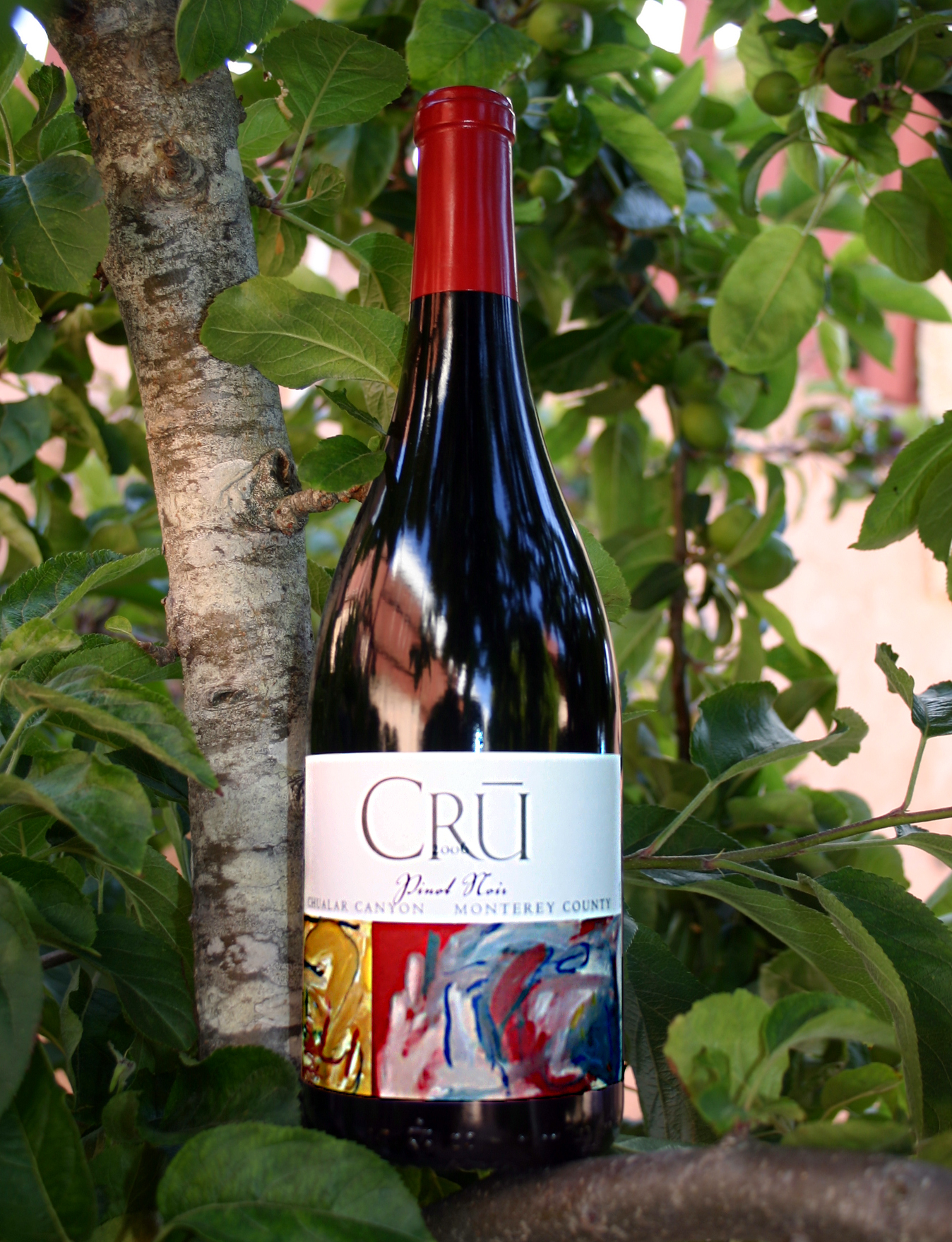 Cru Wines 2006 Pinot Noir, Chualar Canyon 750ml Wine Bottle