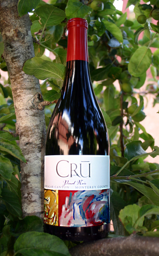 Cru Wines 2006 Pinot Noir, Chualar Canyon 750ml Wine Bottle