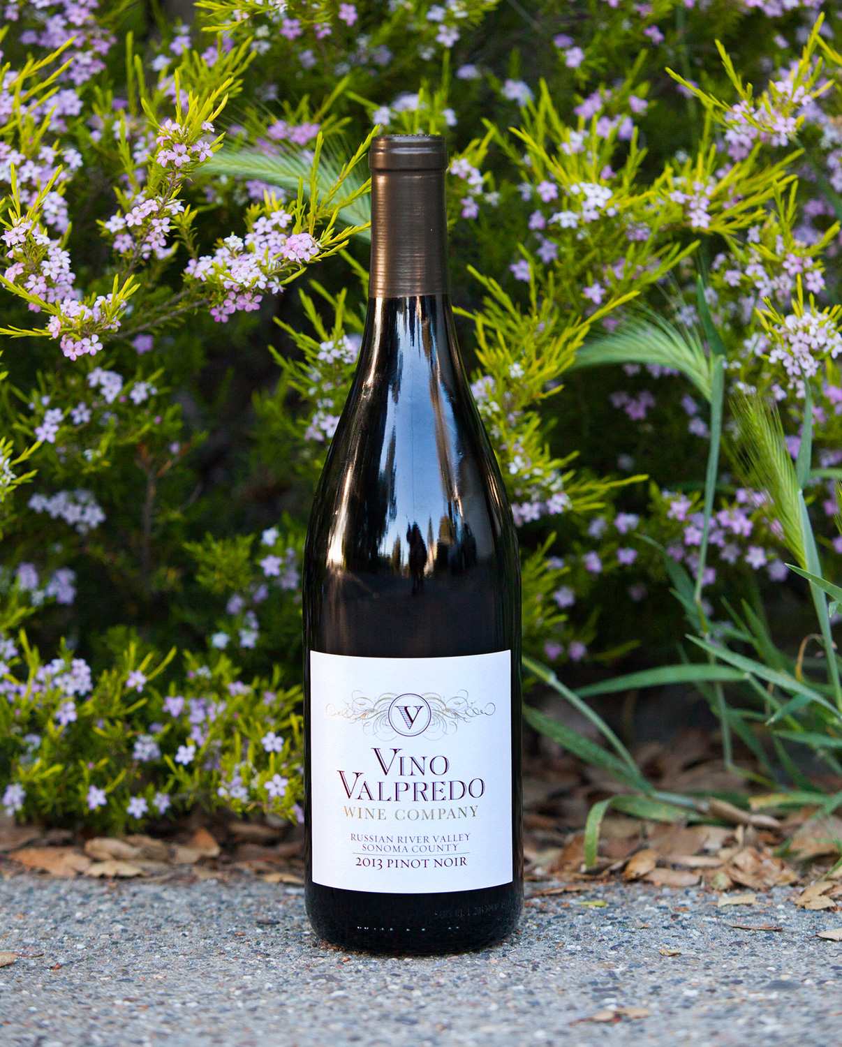 Vino Valpredo 2013 Pinot Noir Russian River Valley 750ml Wine Bottle